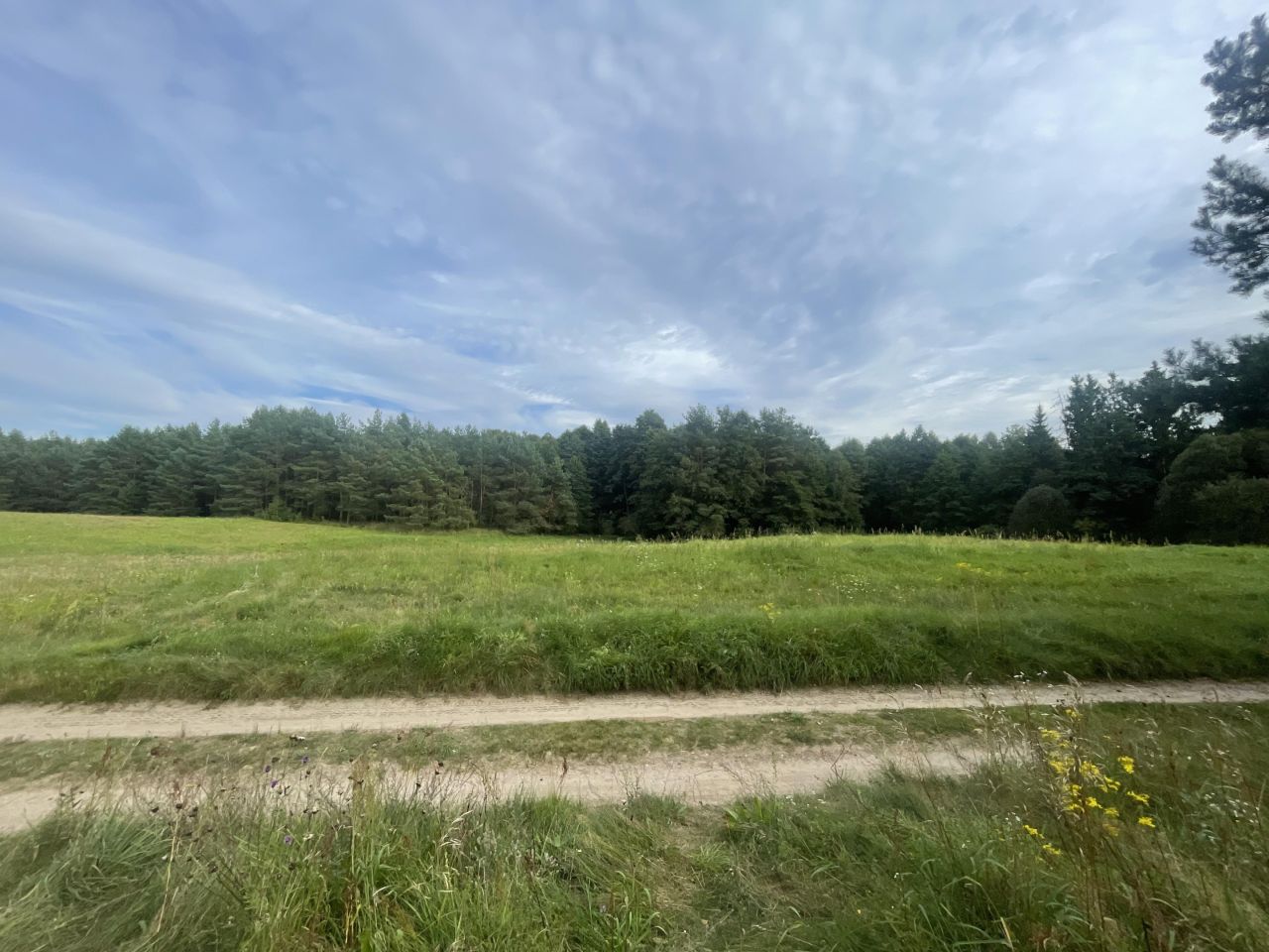 Działka budowlana Małszewo, Małszewo. Zdjęcie 11
