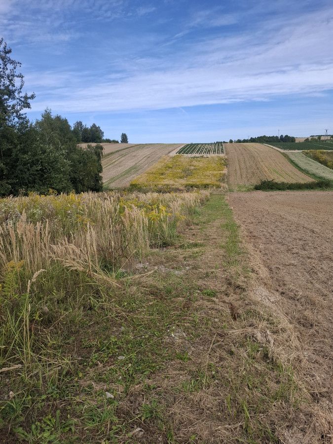Działka siedliskowa Cianowice, ul. Ojcowska. Zdjęcie 4