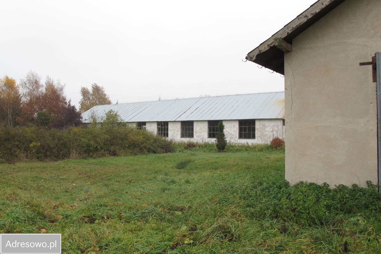 Hala/magazyn Orłowo, ul. Rzeczna. Zdjęcie 6