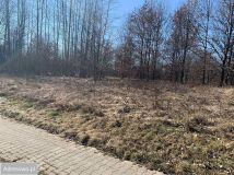 Działka budowlana Bliżyn, ul. Szydłowiecka. Zdjęcie 1