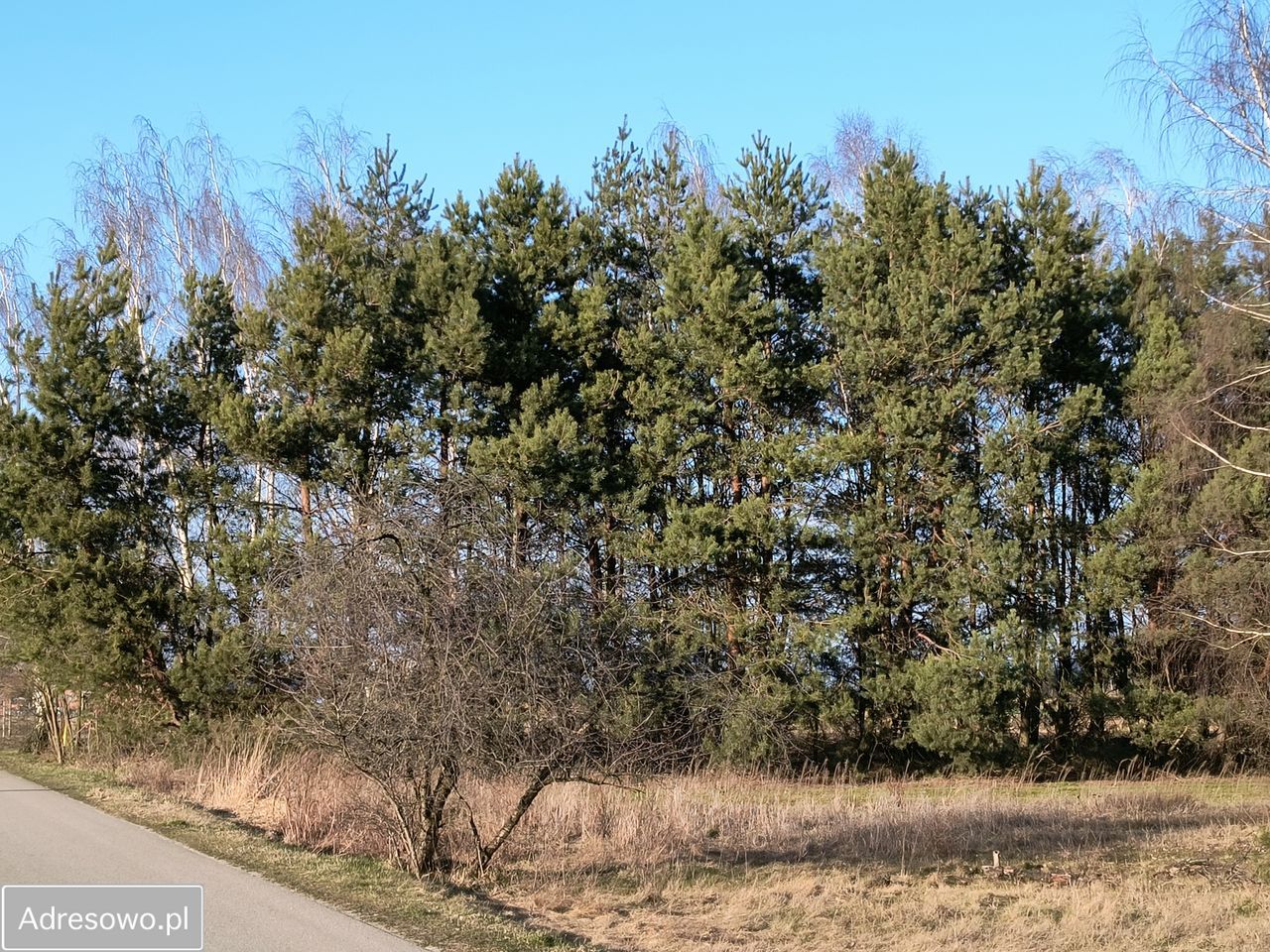 Działka budowlana Wysieradz. Zdjęcie 8