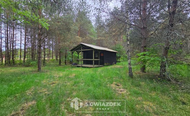 Działka siedliskowa Czochryń. Zdjęcie 4