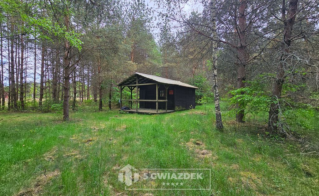 Działka siedliskowa Czochryń. Zdjęcie 4