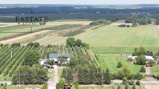 dom wolnostojący, 4 pokoje Świdno. Zdjęcie 20