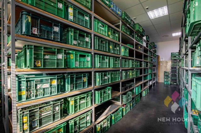 Hala/magazyn Gietrzwałd, ul. Drzewna. Zdjęcie 12