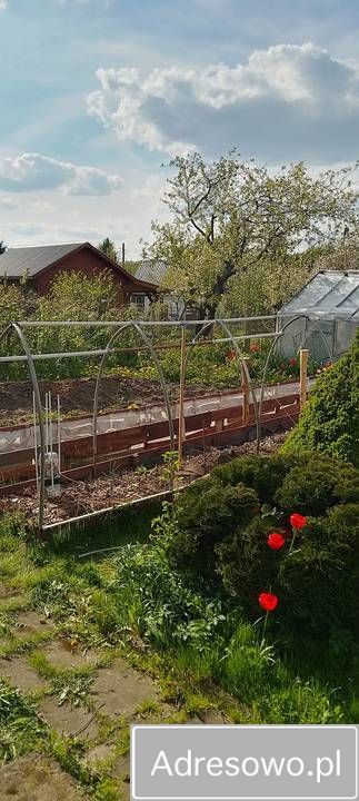 Działka rod Białystok Dojlidy, ul. płk. Czesława Hake. Zdjęcie 6