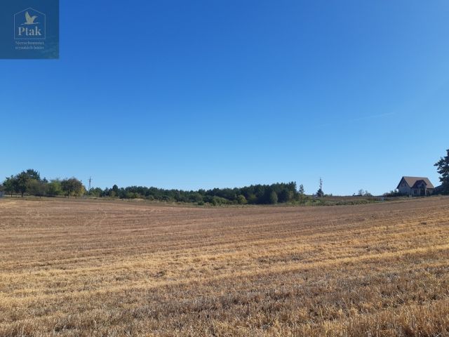 Działka budowlana Kruszyn. Zdjęcie 14