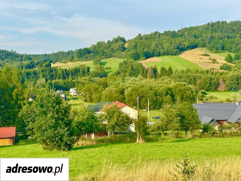 Zdjęcie 3