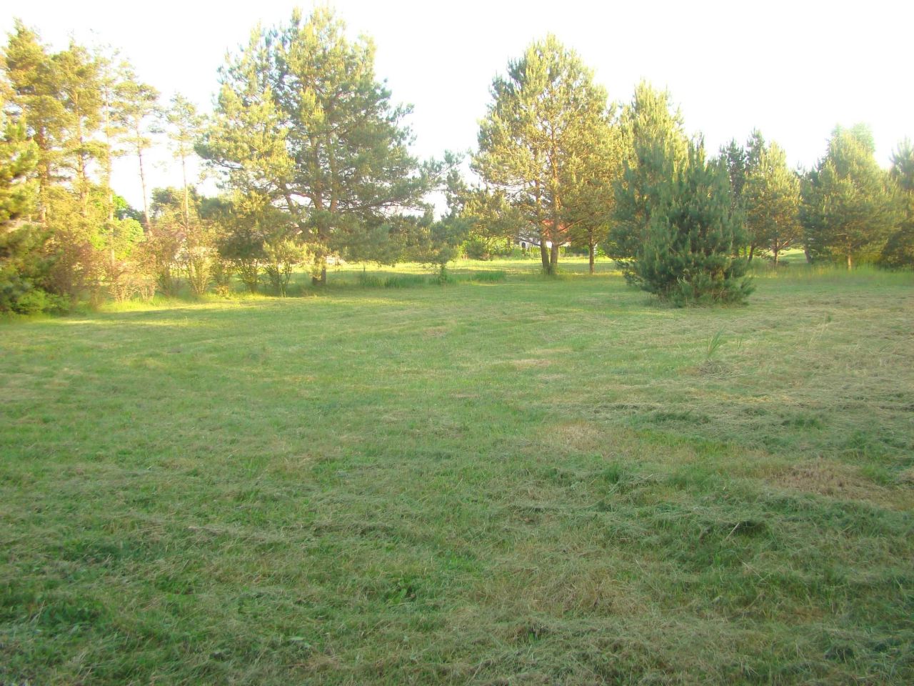 Działka budowlana Widzów. Zdjęcie 3