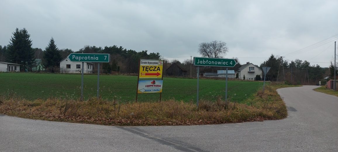 Działka leśna Kruszyna. Zdjęcie 4