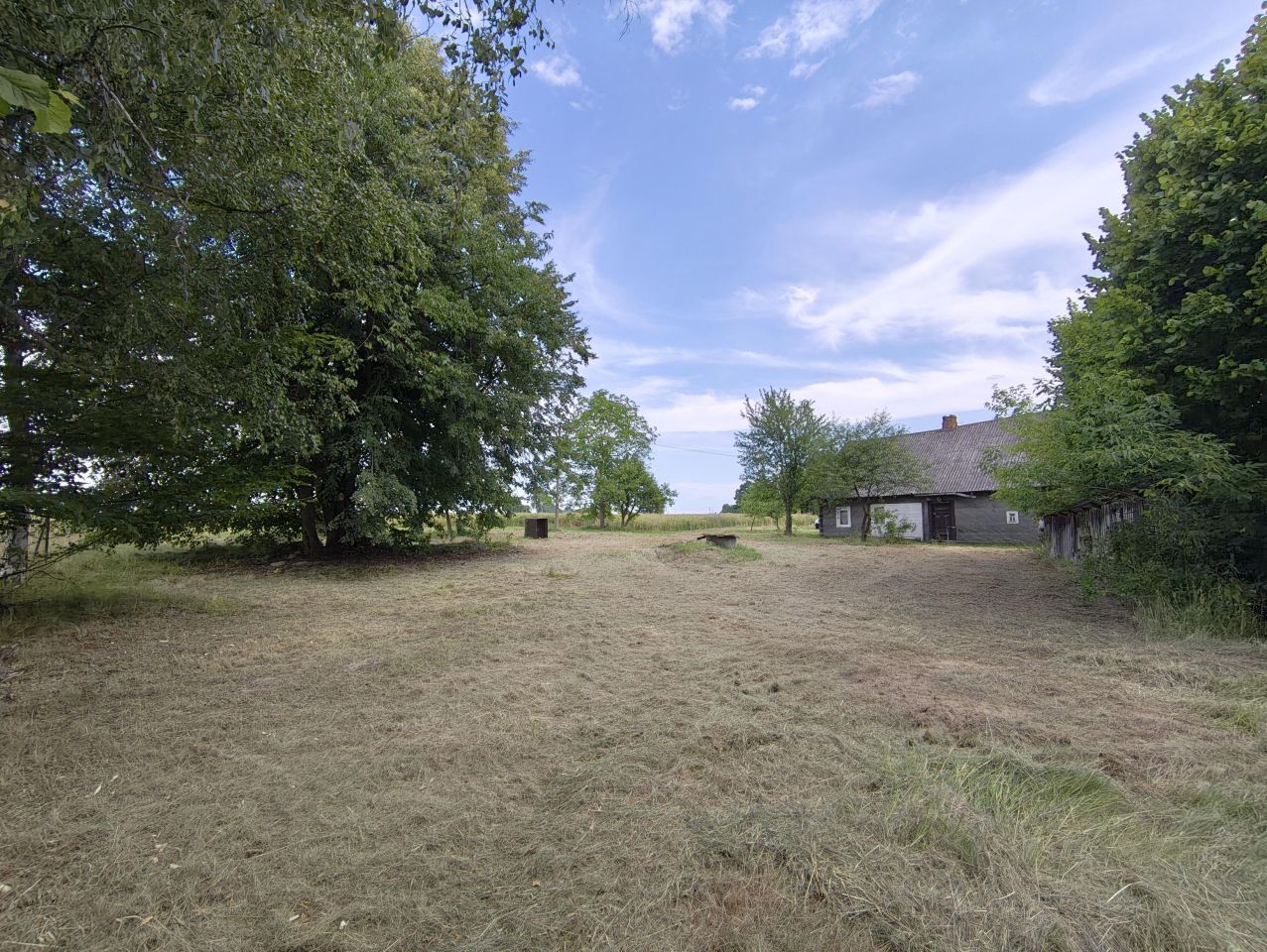 Działka rolno-budowlana Stawki Szkorutyniec. Zdjęcie 8