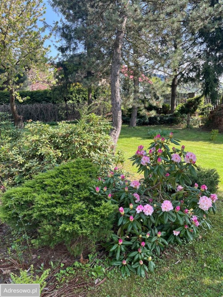 dom wolnostojący, 4 pokoje Międzybrodzie Żywieckie. Zdjęcie 5