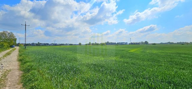 Działka budowlana Bieniewice, ul. Słowicza. Zdjęcie 7