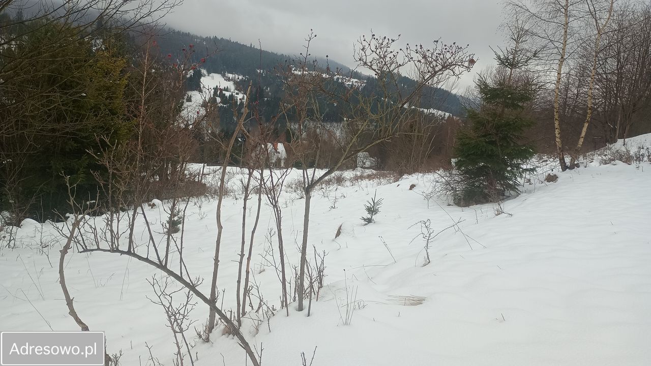 Działka rolna Złatna. Zdjęcie 7