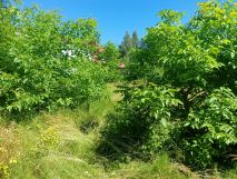 Działka budowlana Tomaszów Lubelski Za Brodem, ul. Janusza Petera. Zdjęcie 2