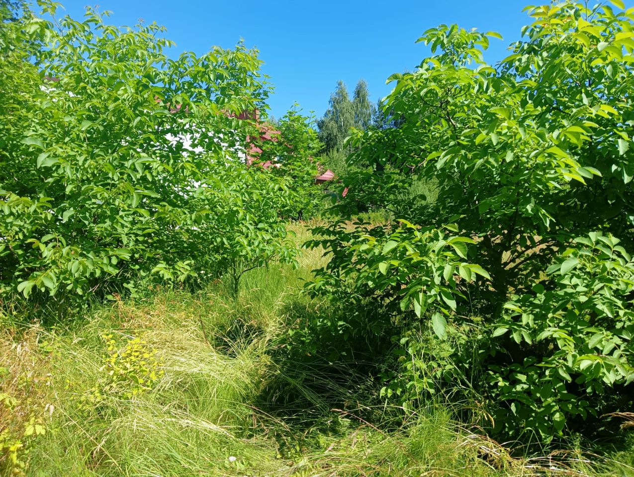 Działka budowlana Tomaszów Lubelski Za Brodem, ul. Janusza Petera. Zdjęcie 3