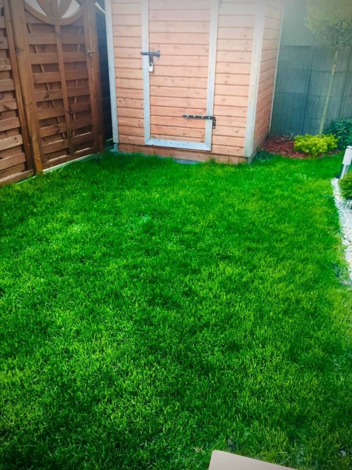 Mieszkanie 3-pokojowe Szczecin Gumieńce. Zdjęcie 6