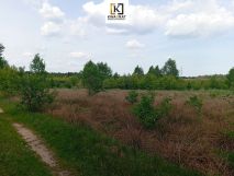 Działka rolno-budowlana Wólka Piecząca. Zdjęcie 4