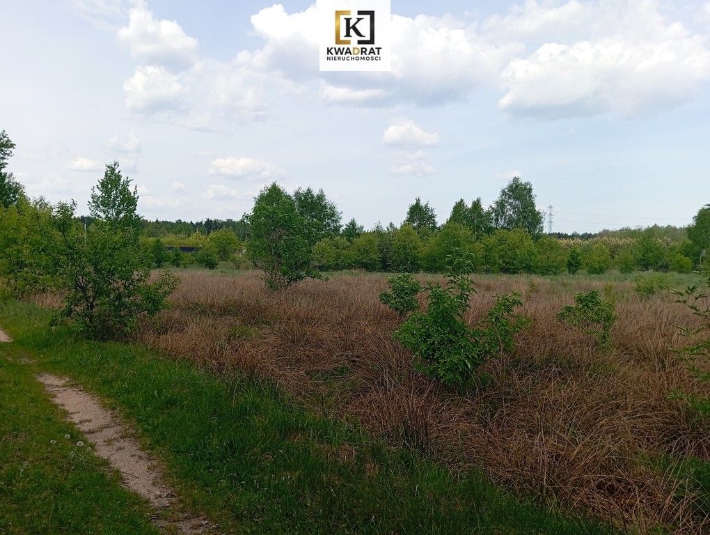 Działka rolno-budowlana Wólka Piecząca. Zdjęcie 6