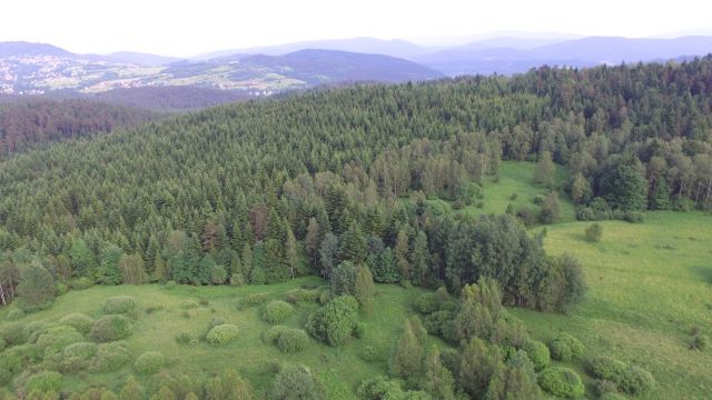 Działka rolno-budowlana Targoszów Snakówka. Zdjęcie 1