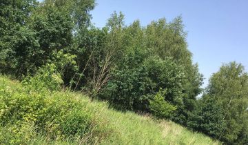 Działka rolno-budowlana Poręba Żegoty