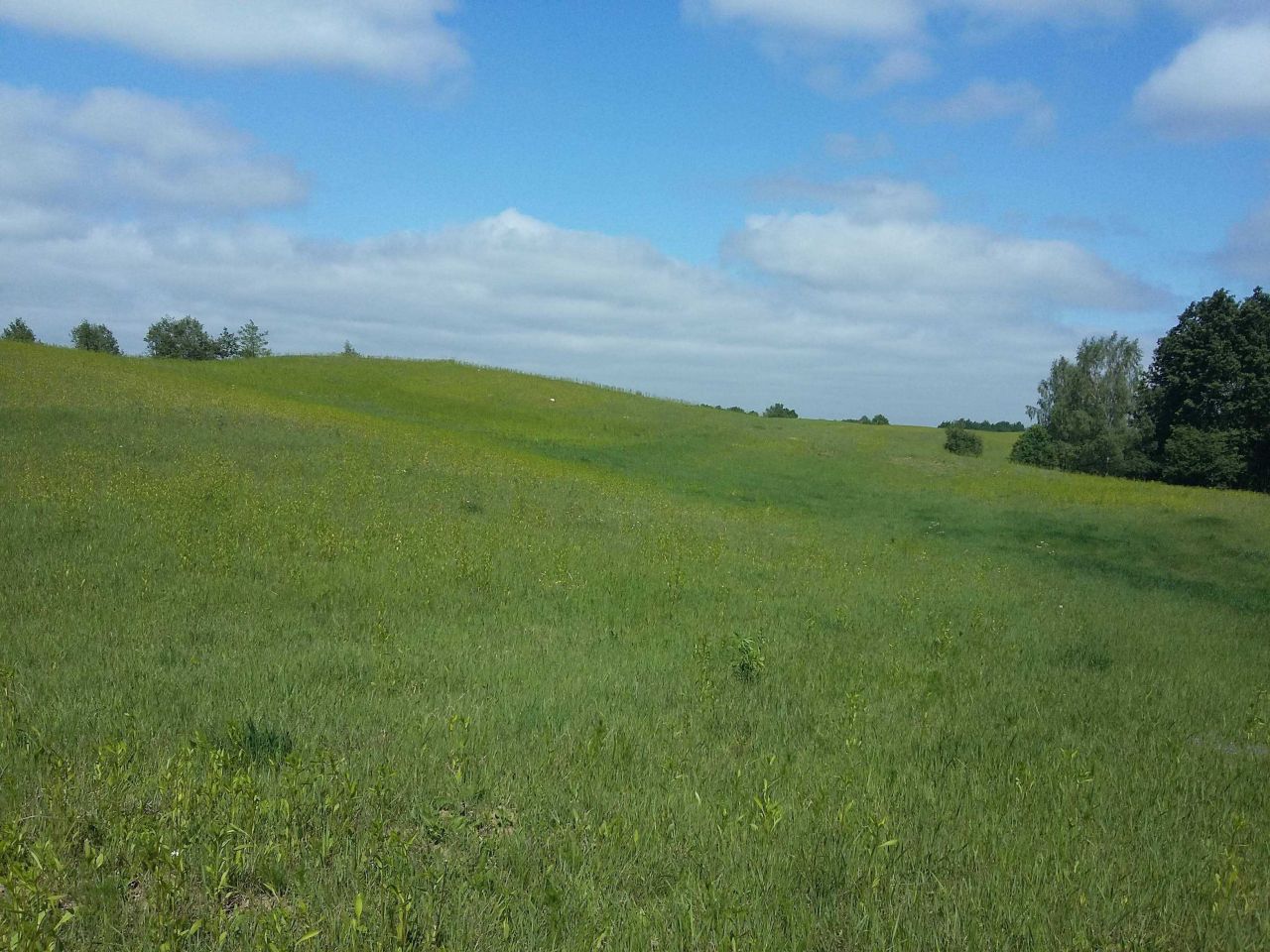 Działka siedliskowa Ramsowo. Zdjęcie 2