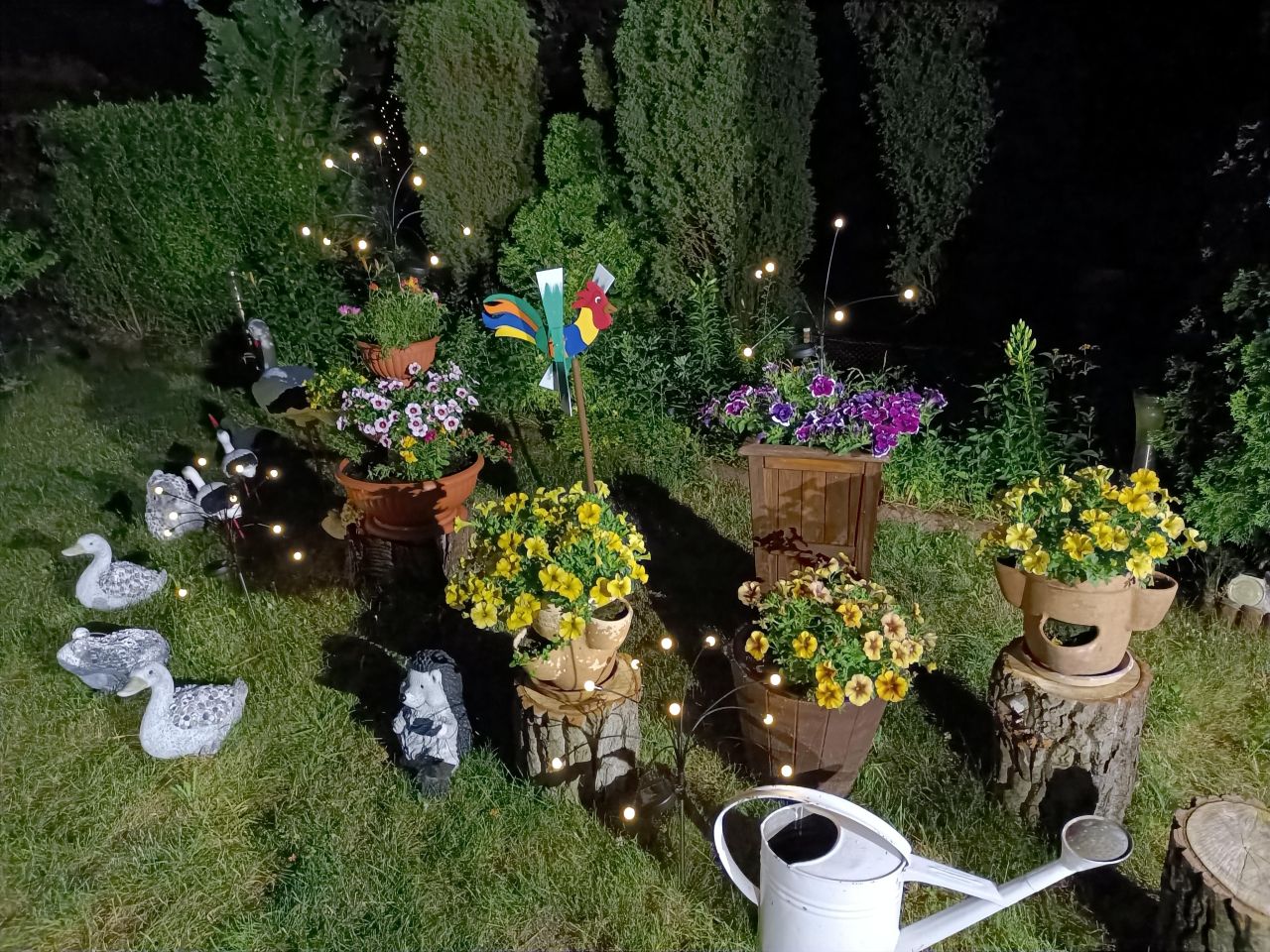Działka rod Łódź Górna, ul. Lodowa. Zdjęcie 60