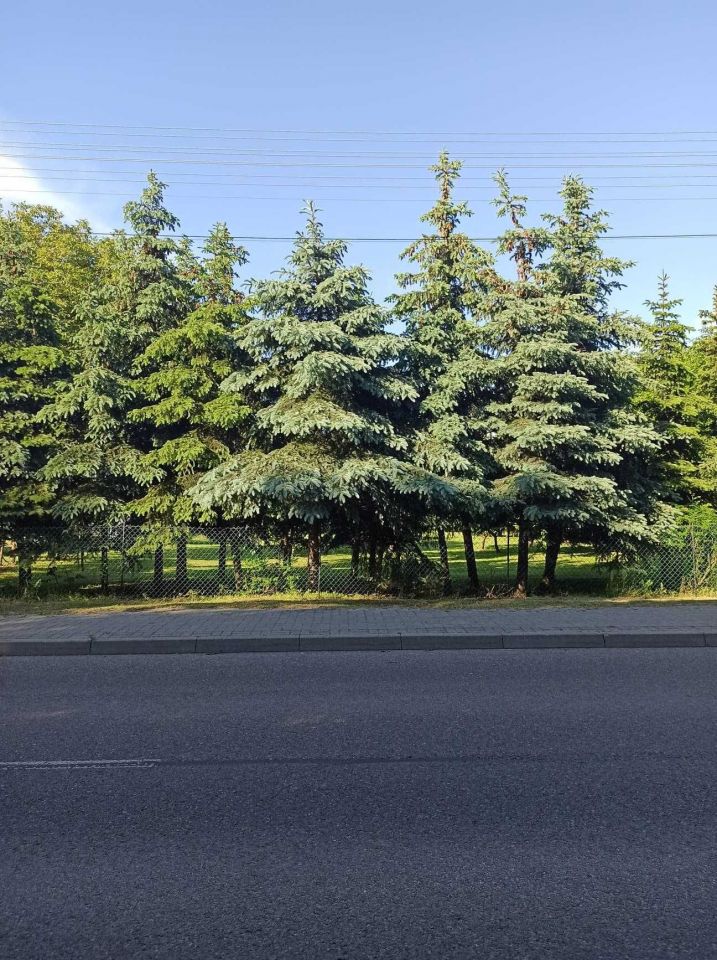 Działka budowlana Uhnin. Zdjęcie 7