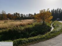 Działka budowlana Bielowicko. Zdjęcie 1