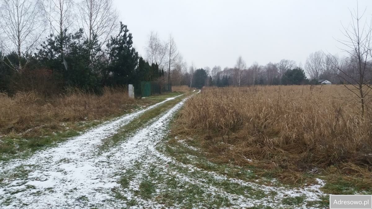 Działka rolna Tomisławice. Zdjęcie 5