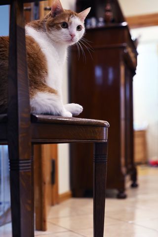 Mieszkanie 4-pokojowe Szczecinek, ul. Szkolna. Zdjęcie 20