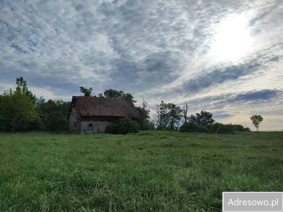 Działka siedliskowa Grzęda. Zdjęcie 9