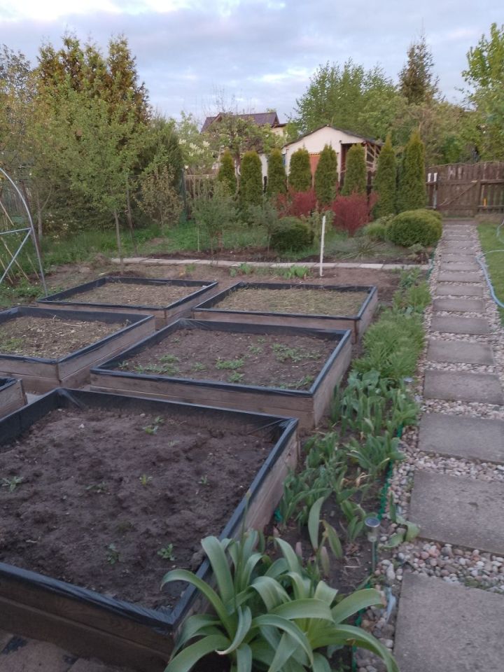 Działka rod Szczytno, ul. Robotnicza. Zdjęcie 8