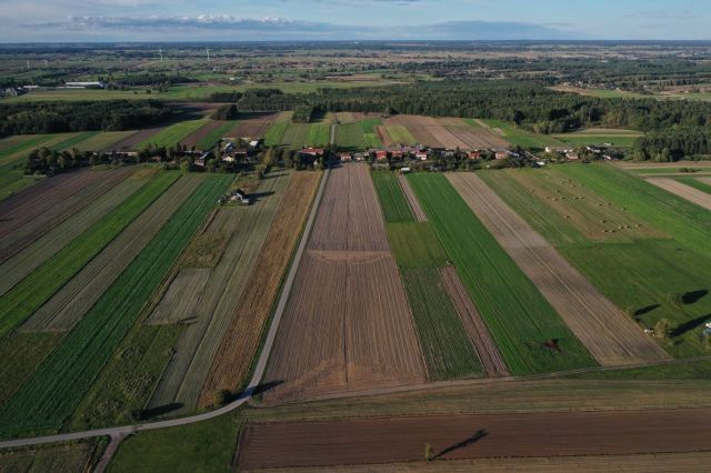 Działka rolno-budowlana Studzianki. Zdjęcie 1