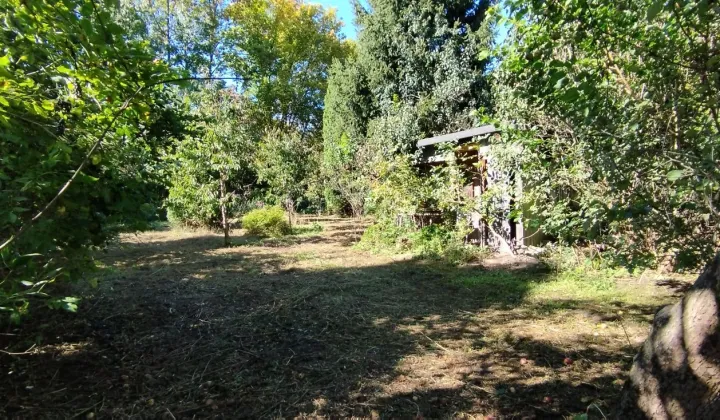 Działka rod Łódź Nowe Rokicie