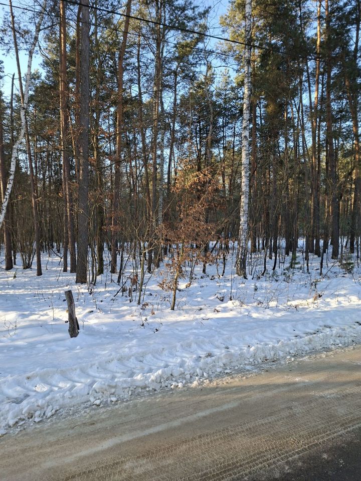 Działka Miłkowska Karczma. Zdjęcie 2