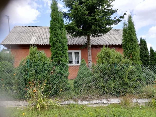 siedlisko Rozięcin. Zdjęcie 1