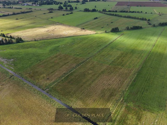 Działka rolna Kniewo. Zdjęcie 10