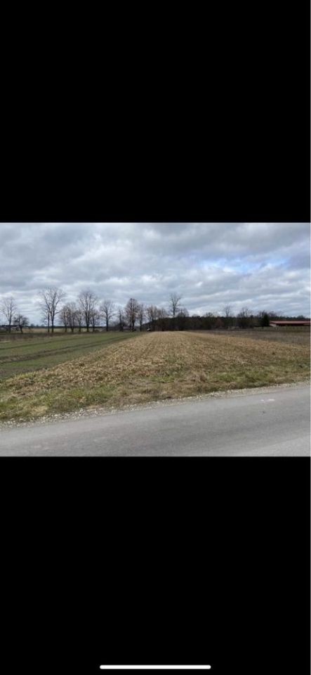 Działka budowlana Kierz. Zdjęcie 5