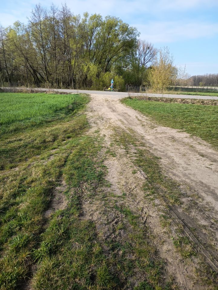 Działka budowlana Budy Ciepielińskie. Zdjęcie 13