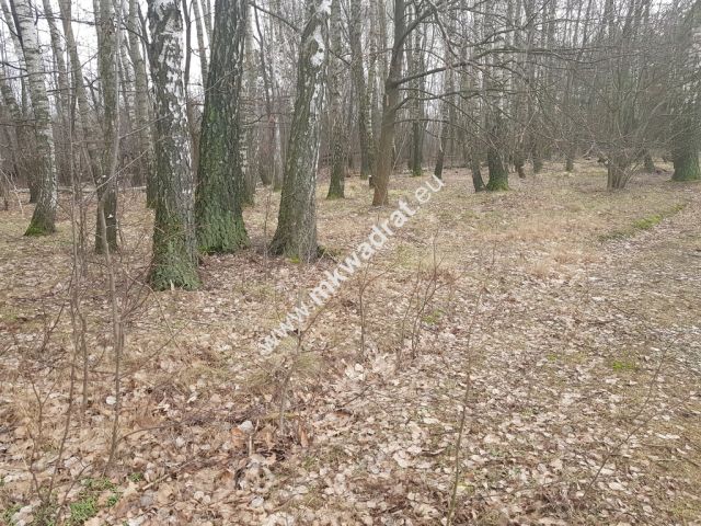 Działka budowlana Kaleń. Zdjęcie 4