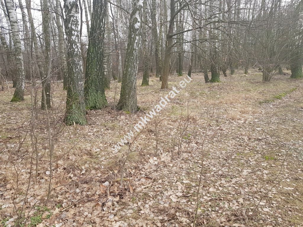 Działka budowlana Kaleń. Zdjęcie 4