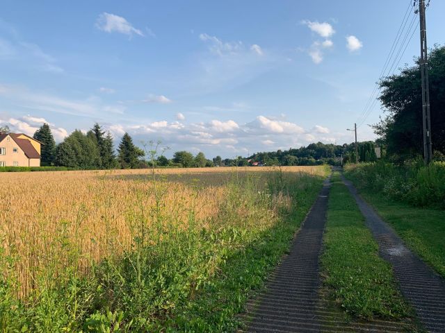 Działka budowlana Ostrowiec Świętokrzyski Częstocice, ul. Chmielowska. Zdjęcie 3