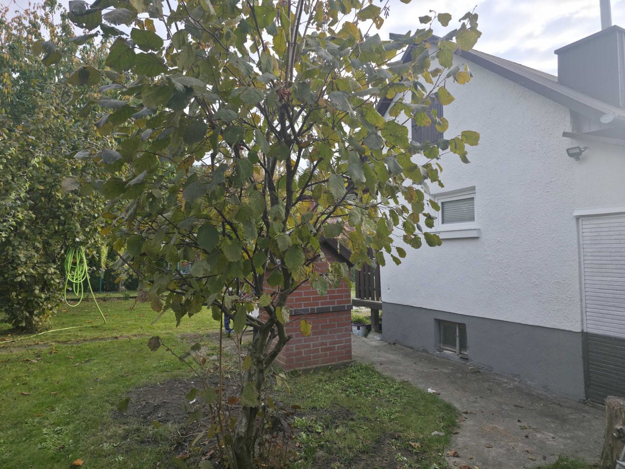 Działka rod Pustków-Osiedle. Zdjęcie 7