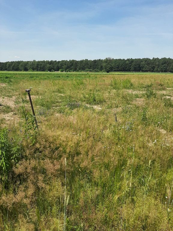 Działka rolno-budowlana Zgierz, ul. Grotnicka. Zdjęcie 3