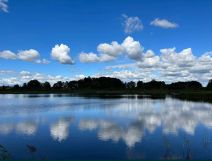 Działka rolna Trzebielino. Zdjęcie 1