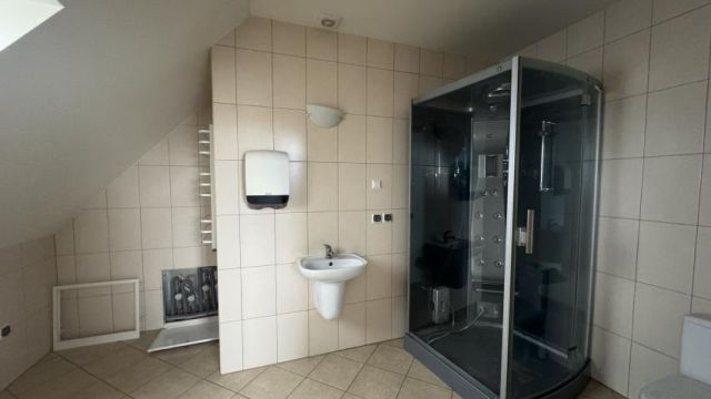 dom wolnostojący, 12 pokoi Brzeźnik. Zdjęcie 11