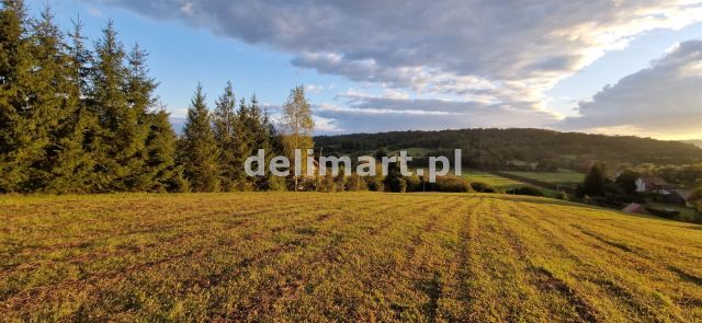 Działka budowlana Srogów Dolny. Zdjęcie 2
