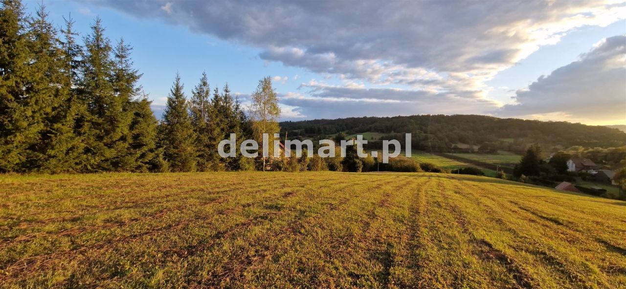 Działka budowlana Srogów Dolny. Zdjęcie 2