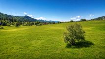 Działka rolna Zakopane, ul. Droga na Wierch. Zdjęcie 3
